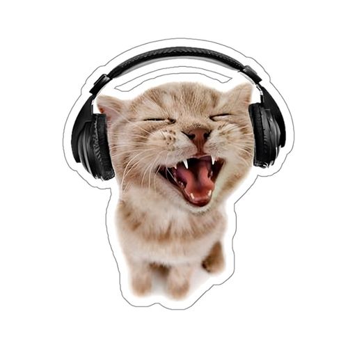 BrokeCatty